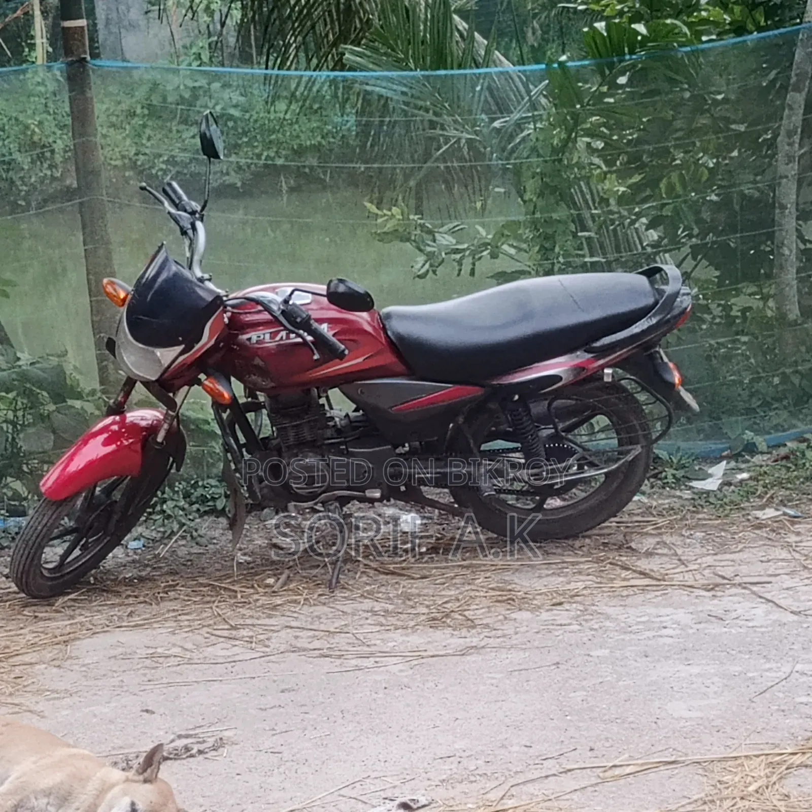 Bajaj Platina 100 2018 Red