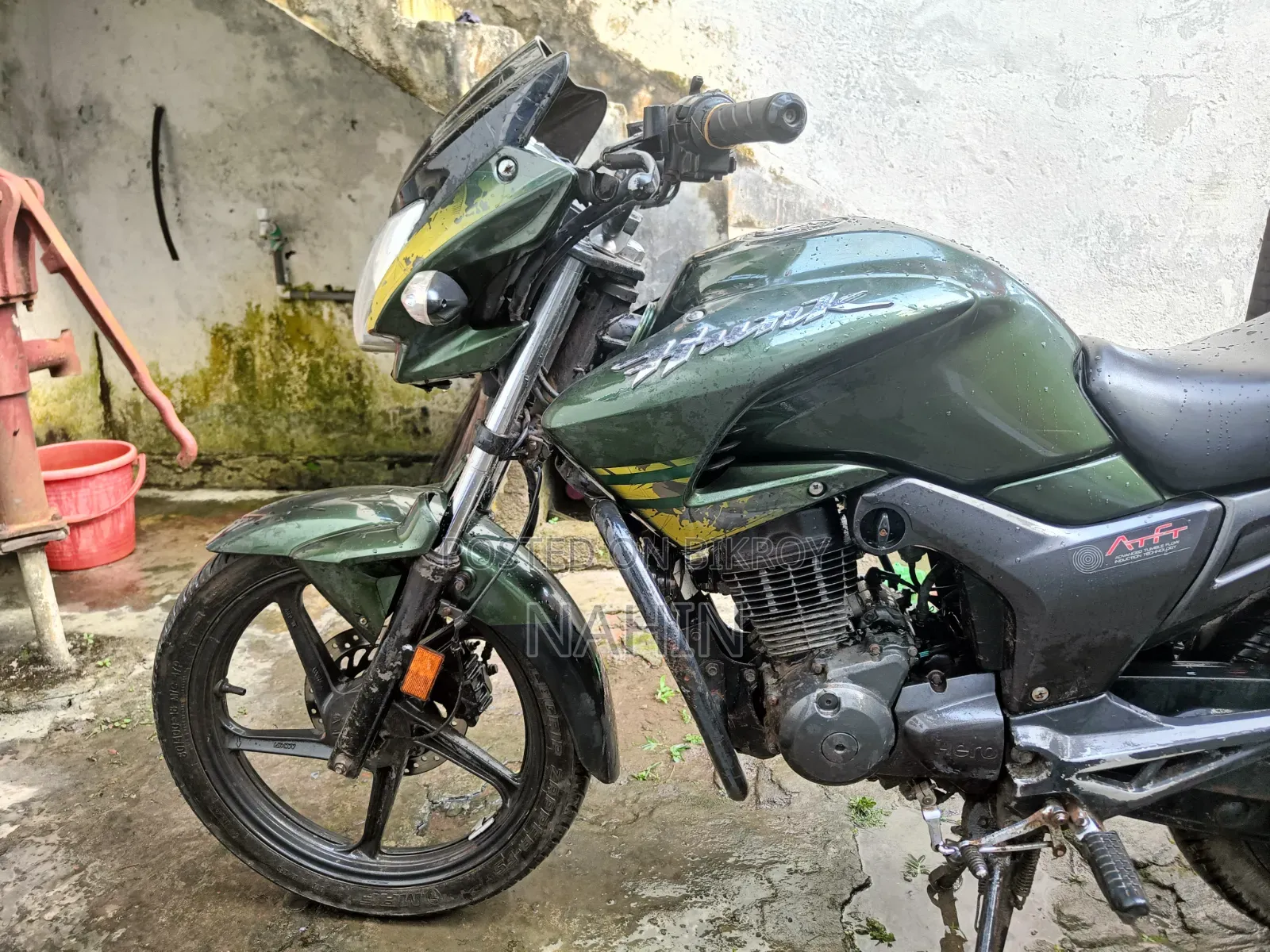 হিরো হাংক ২০১৯ সবুজ