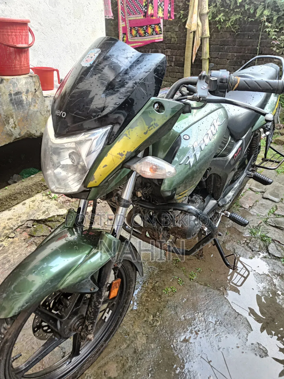 হিরো হাংক ২০১৯ সবুজ