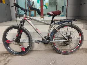 Phoenix Cycle