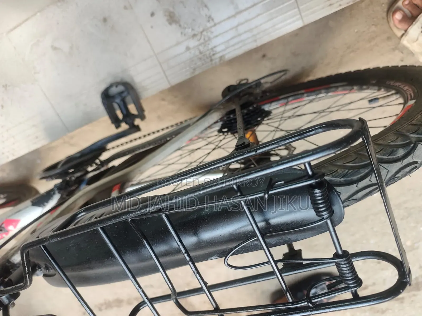 Phoenix Cycle