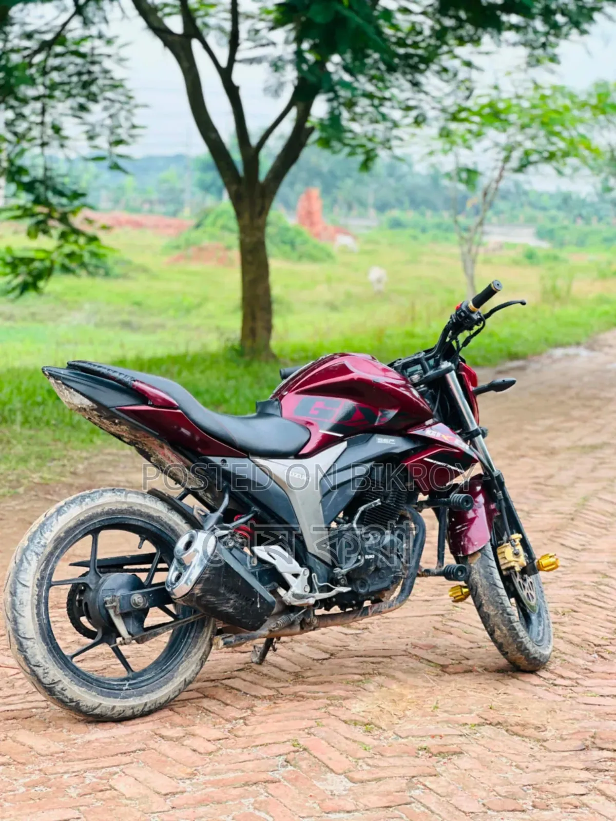 Suzuki Gixxer 2020 Brown