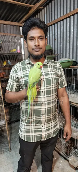 কথা বলা টিয়া পাখি