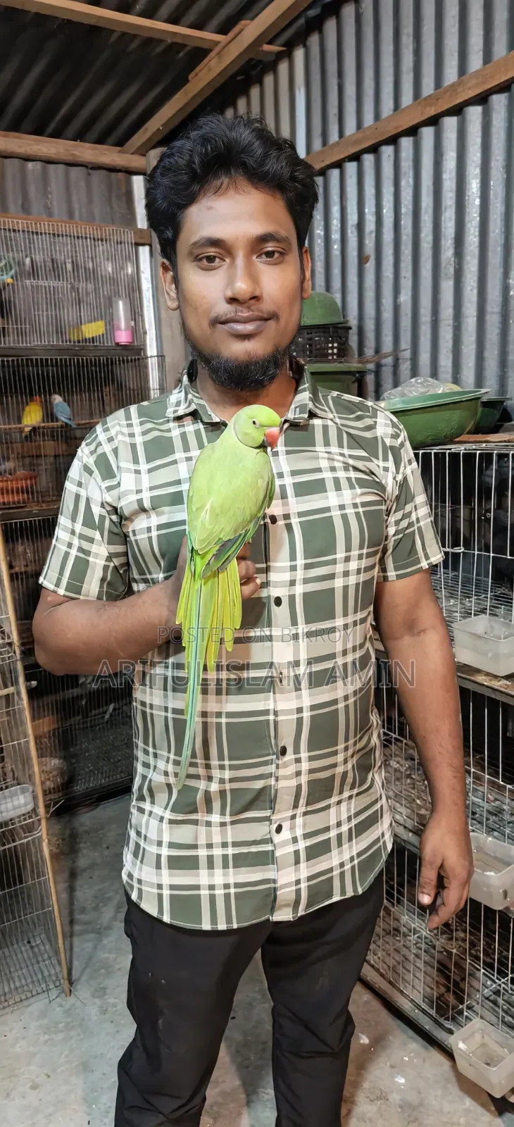 কথা বলা টিয়া পাখি