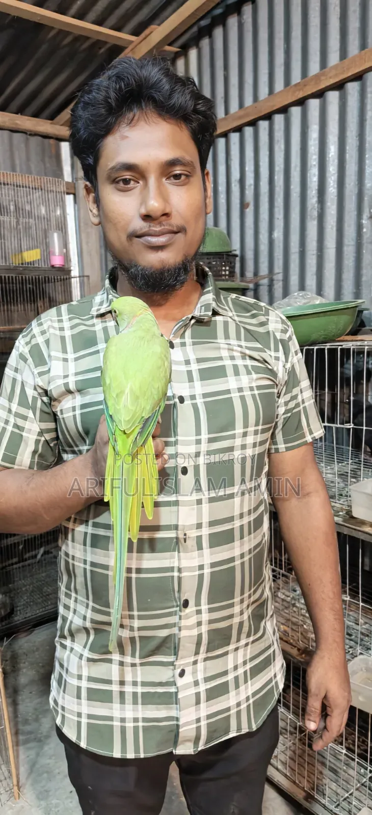 কথা বলা টিয়া পাখি