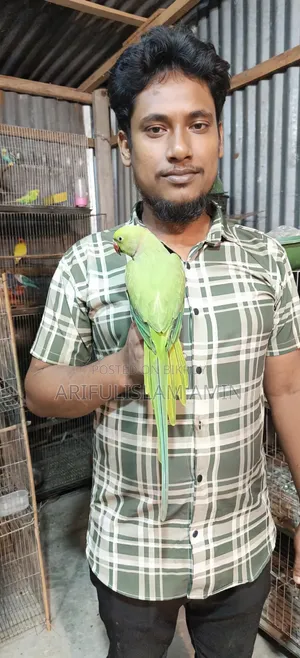 কথা বলা টিয়া পাখি