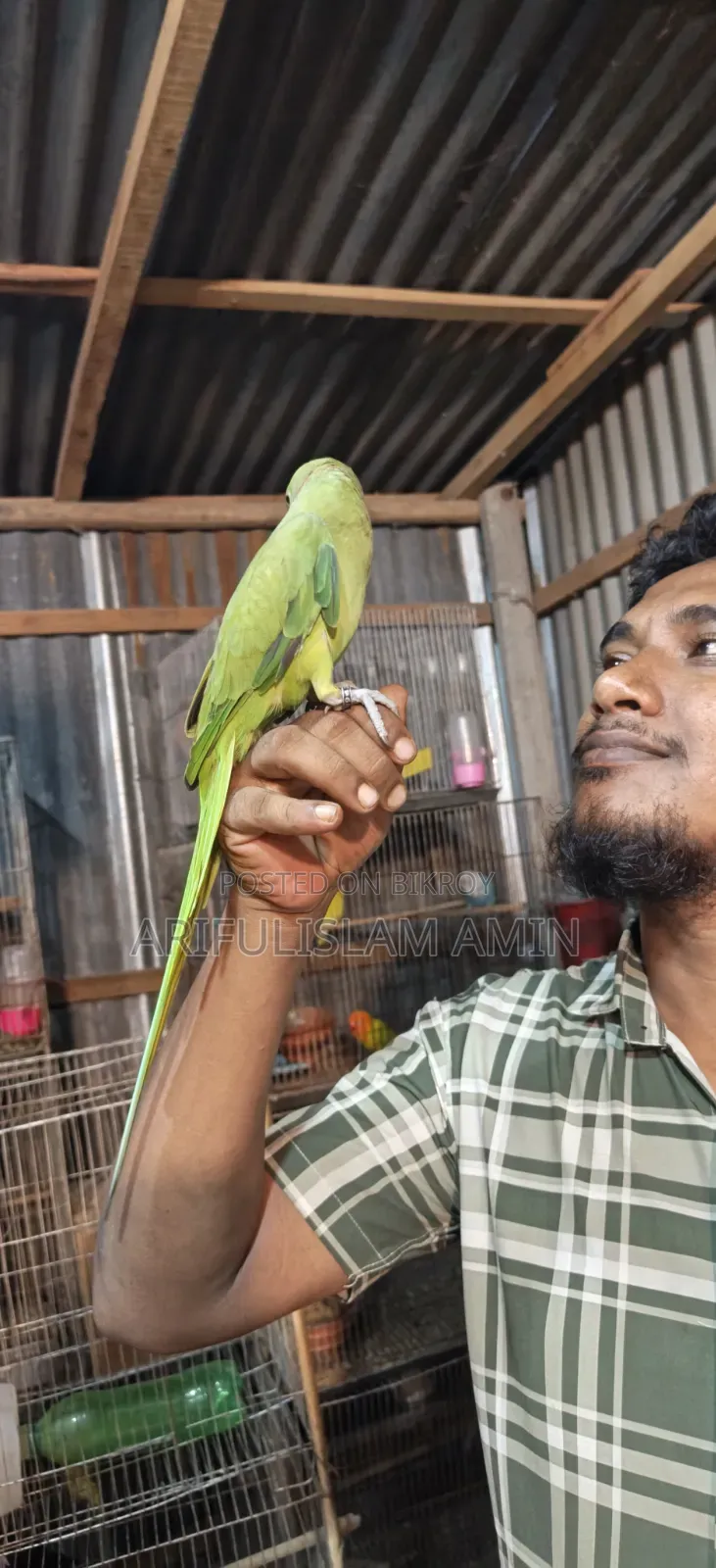 কথা বলা টিয়া পাখি