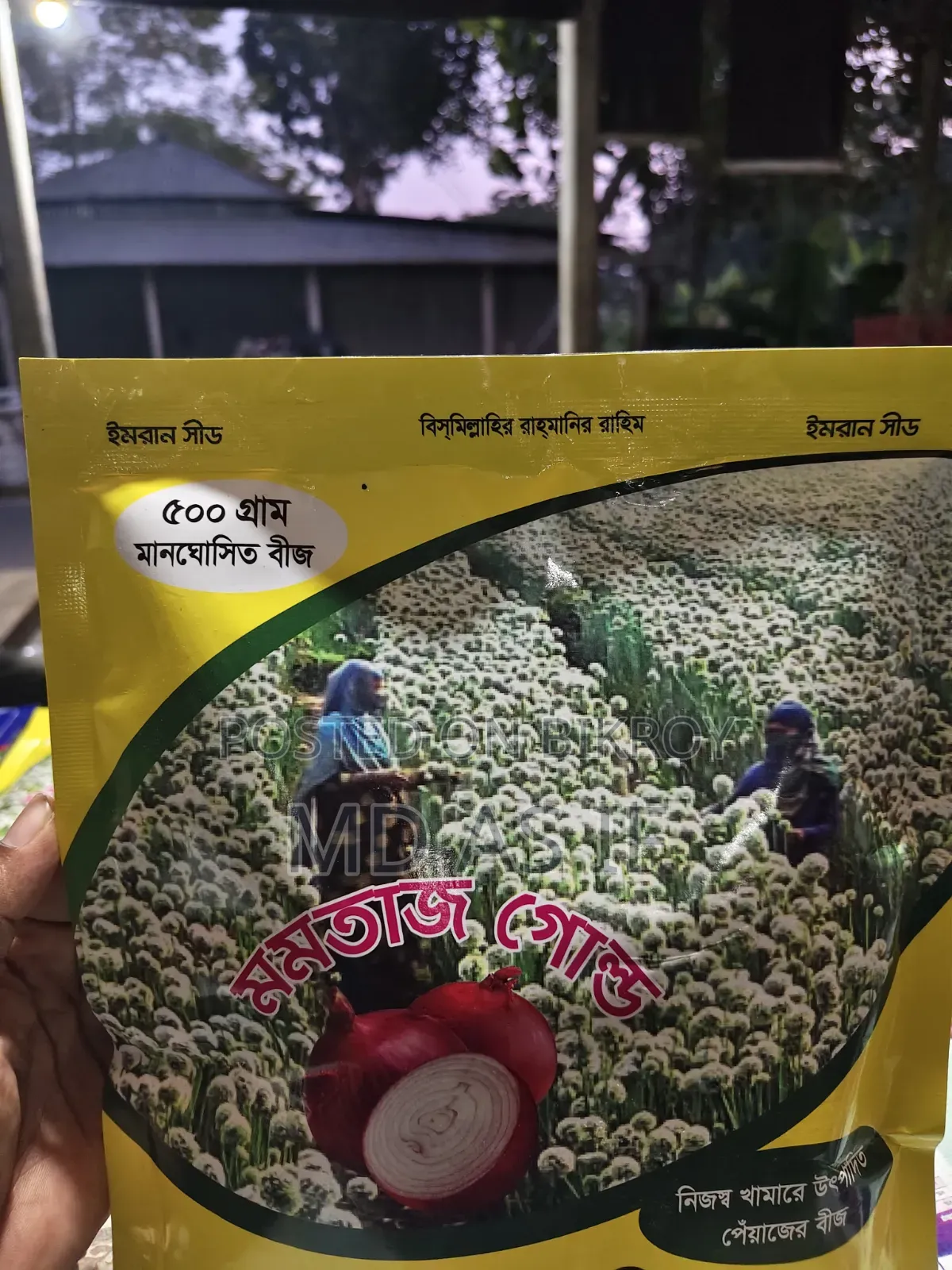 Onion Seeds