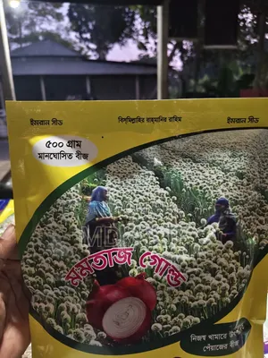 Onion Seeds