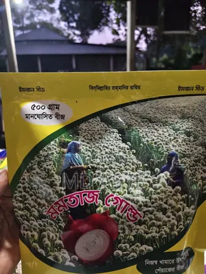 Onion Seeds