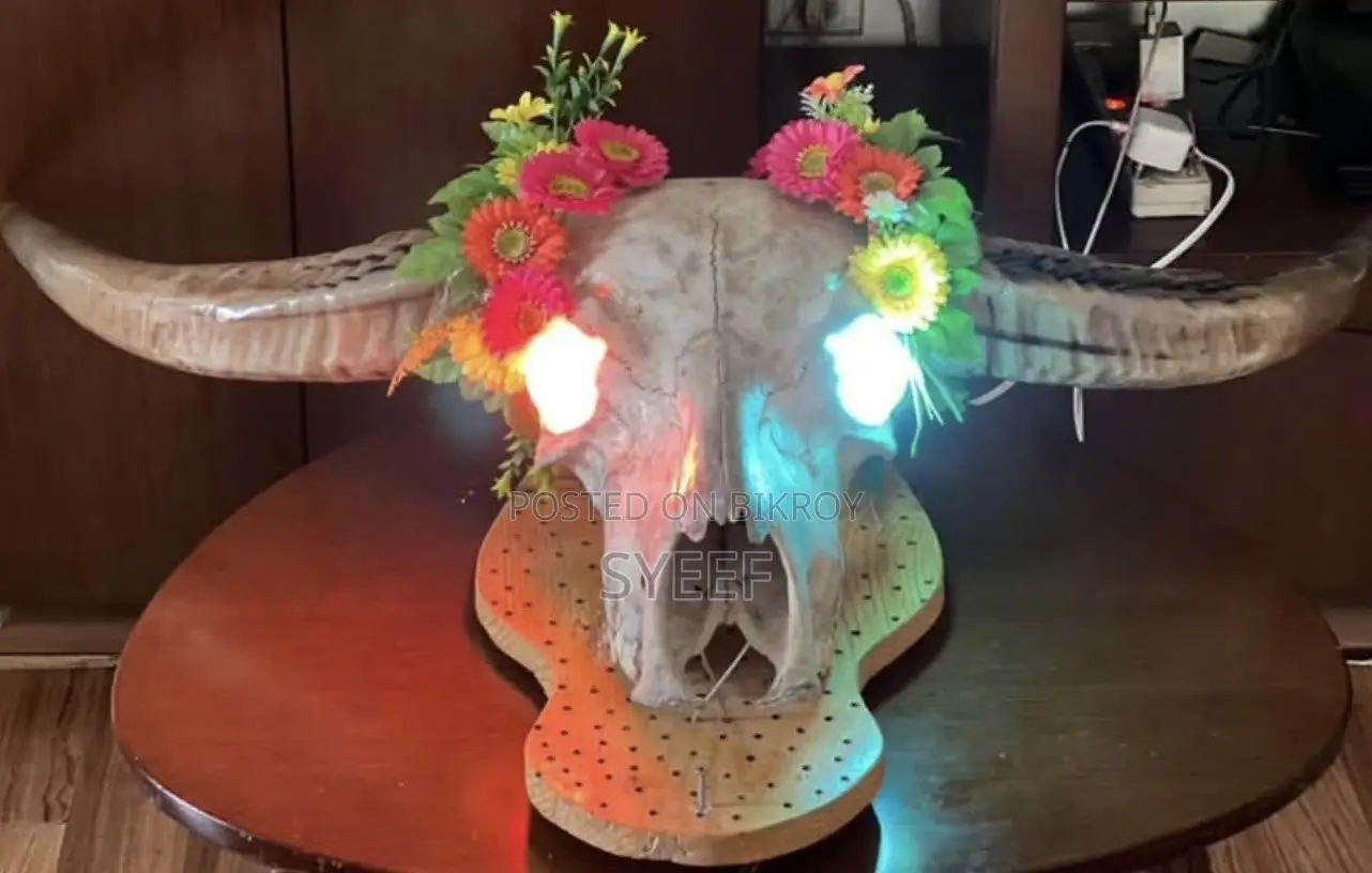 Genuine Alvino Buffalo Skull With RGB Lights – Wall Mount