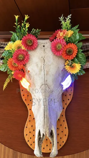 Genuine Alvino Buffalo Skull With RGB Lights – Wall Mount