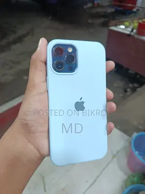 Apple iPhone 12 Pro Max 256 GB Blue