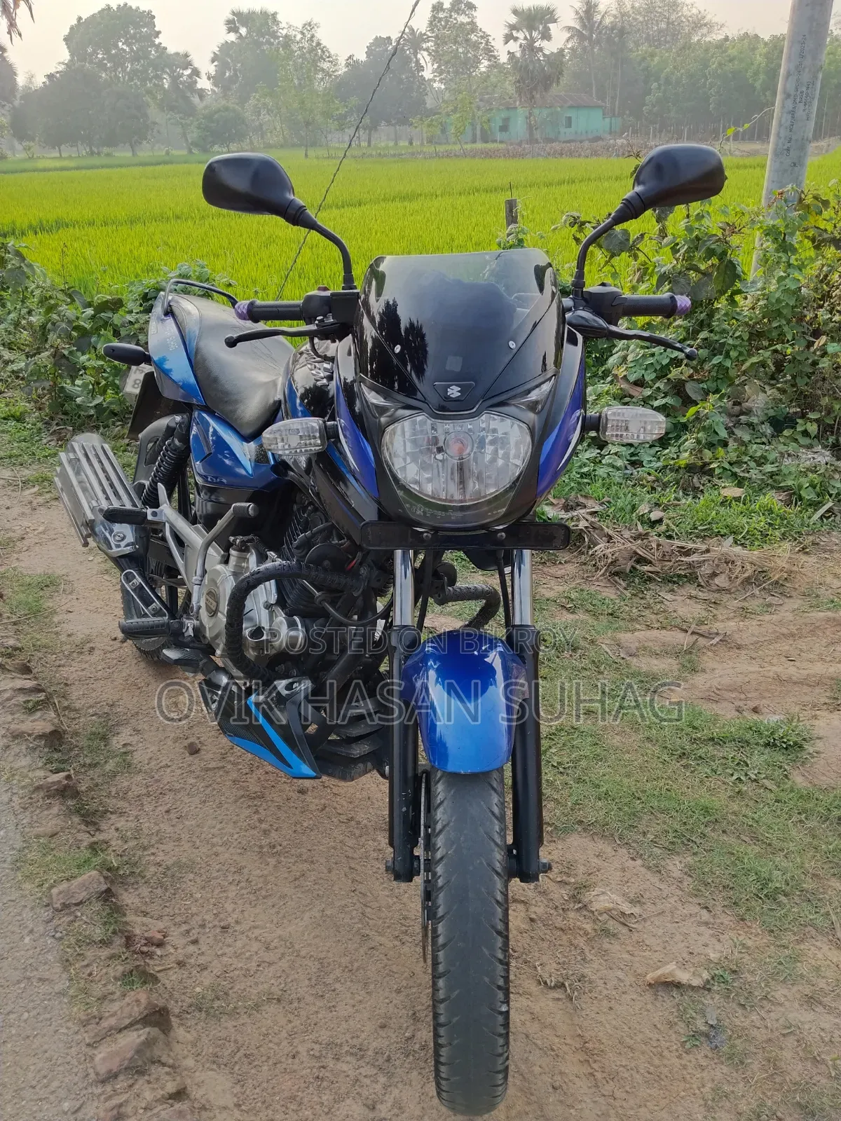 Bajaj Pulsar 150 2017 Blue