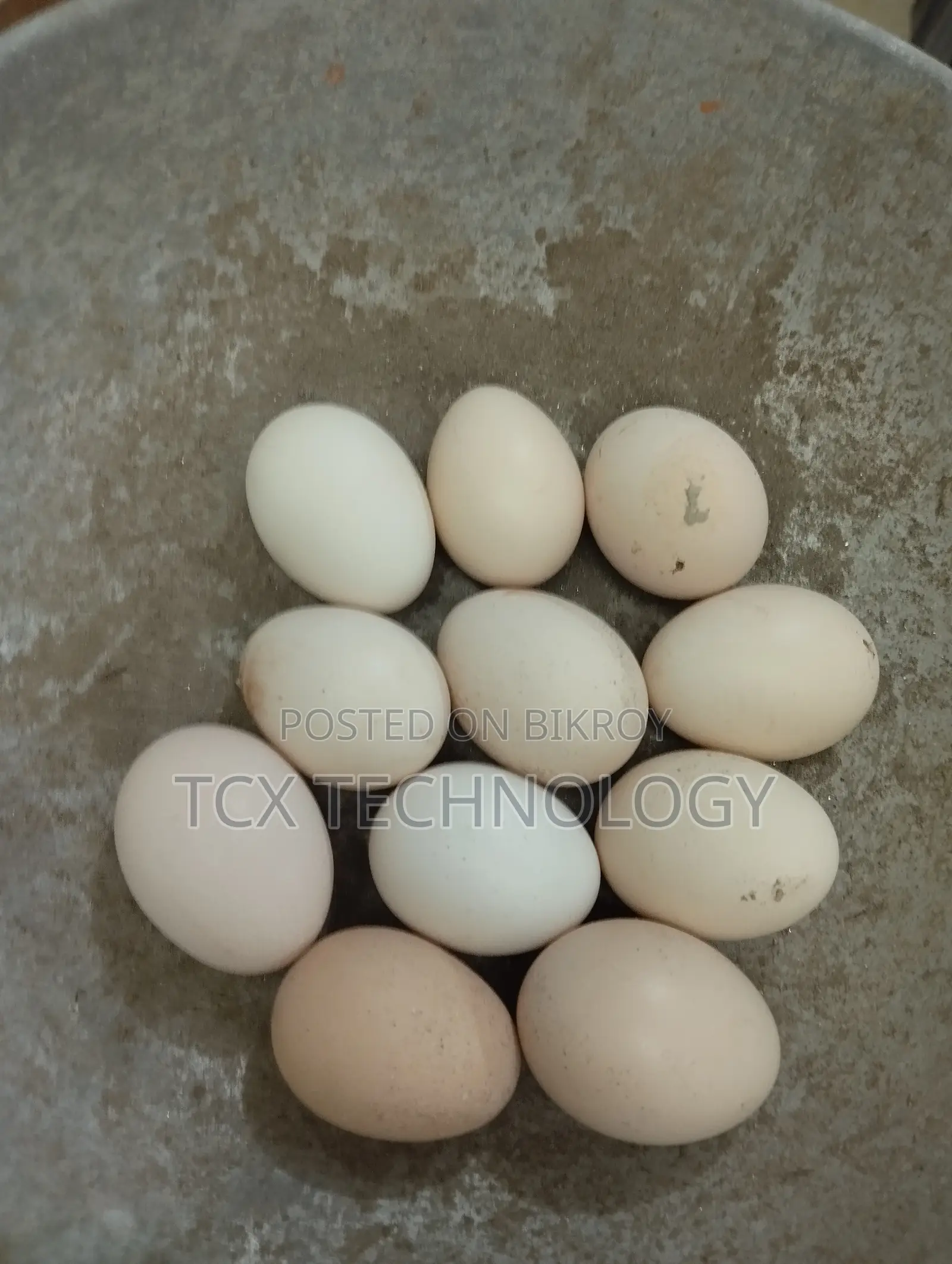 Organic Eggs