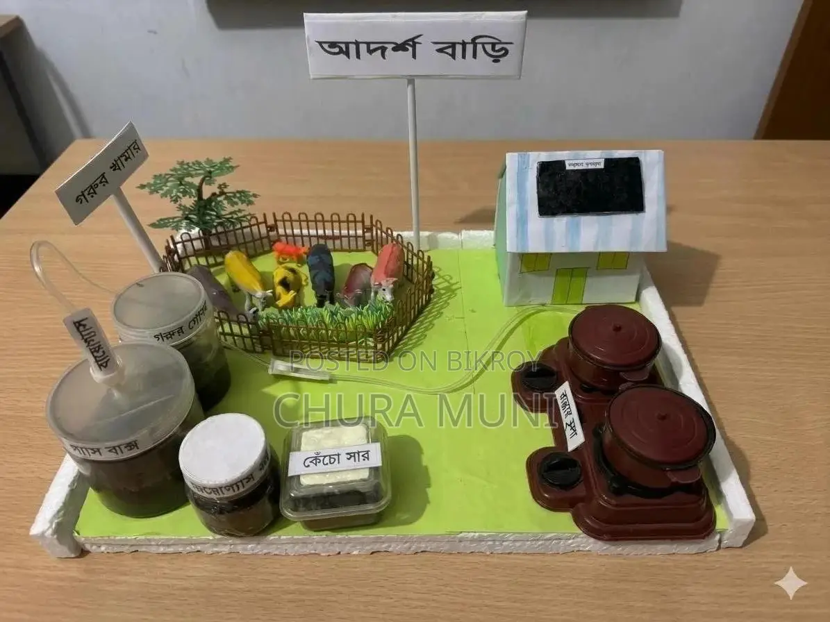 সায়েন্স প্রজেক্ট: আদর্শ বাড়ি