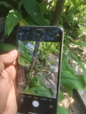 অ্যাপল আইফোন এক্সএস ম্যাক্স ২৫৬ জিবি রোজ গোল্ড
