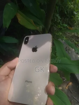 অ্যাপল আইফোন এক্সএস ম্যাক্স ২৫৬ জিবি রোজ গোল্ড