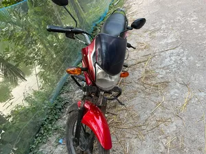 বাজাজ প্লাটিনা ১০০ ২০১৮ রেড