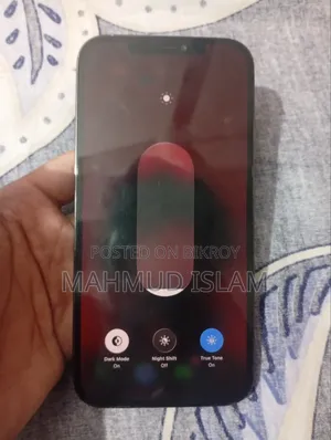 অ্যাপল আইফোন ১২ প্রো ম্যাক্স ২৫৬ জিবি নীল