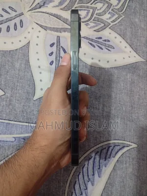 অ্যাপল আইফোন ১২ প্রো ম্যাক্স ২৫৬ জিবি নীল