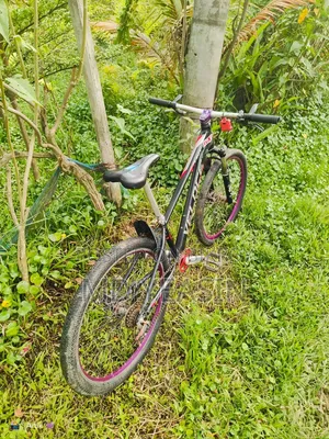 স্টান্ট সাইকেল