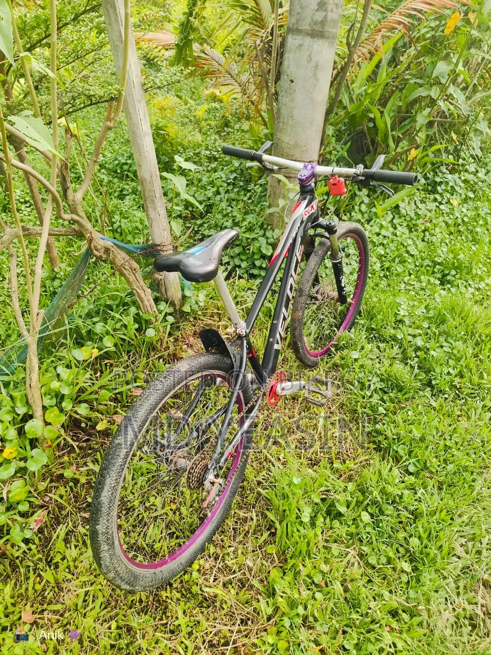 স্টান্ট সাইকেল