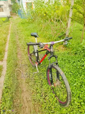 স্টান্ট সাইকেল