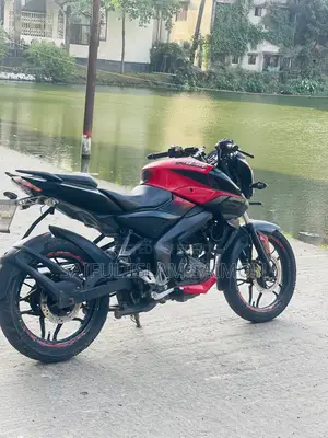 বাজাজ পালসার এনএস ১৬০ ২০১৯ রেড