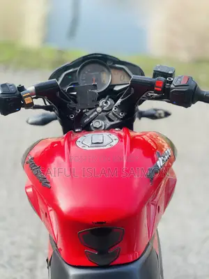 বাজাজ পালসার এনএস ১৬০ ২০১৯ রেড