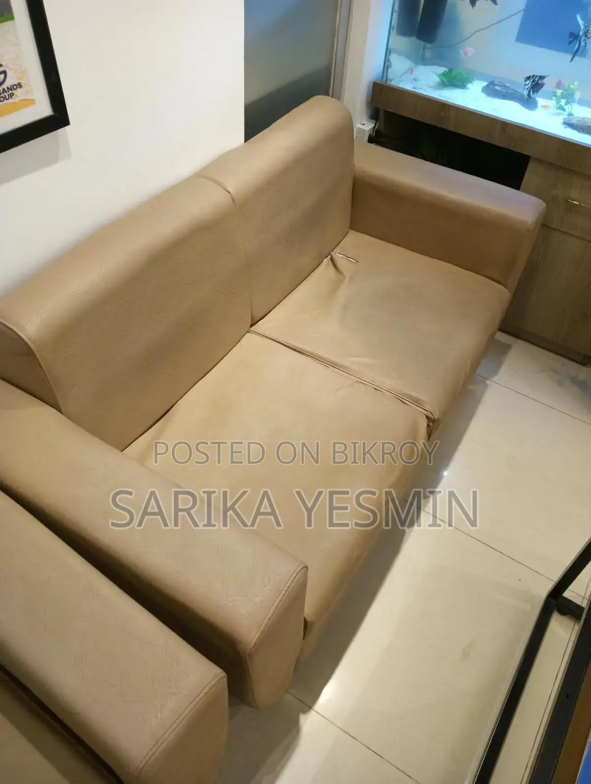 অসাধারণ সোফা সেট