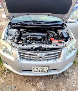 Toyota Axio 2009 Silver