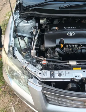Toyota Axio 2009 Silver