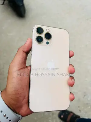 Apple iPhone 13 Pro Max 256 GB Rose Gold