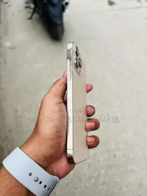 Apple iPhone 13 Pro Max 256 GB Rose Gold