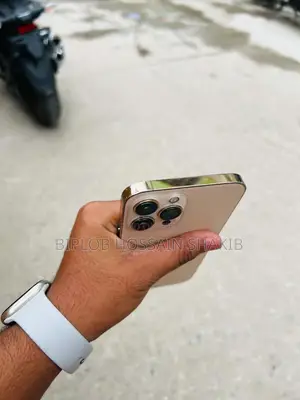 Apple iPhone 13 Pro Max 256 GB Rose Gold