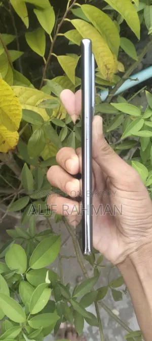 Oppo Reno 10 5G 256 GB Gray