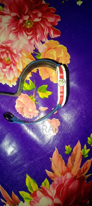 রিচার্ড মাইল