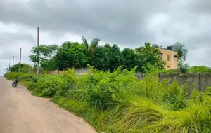 সেক্টর-৫ এ ৩০০ ফুটের কাছে ৫ কাঠা লেক নর্থ