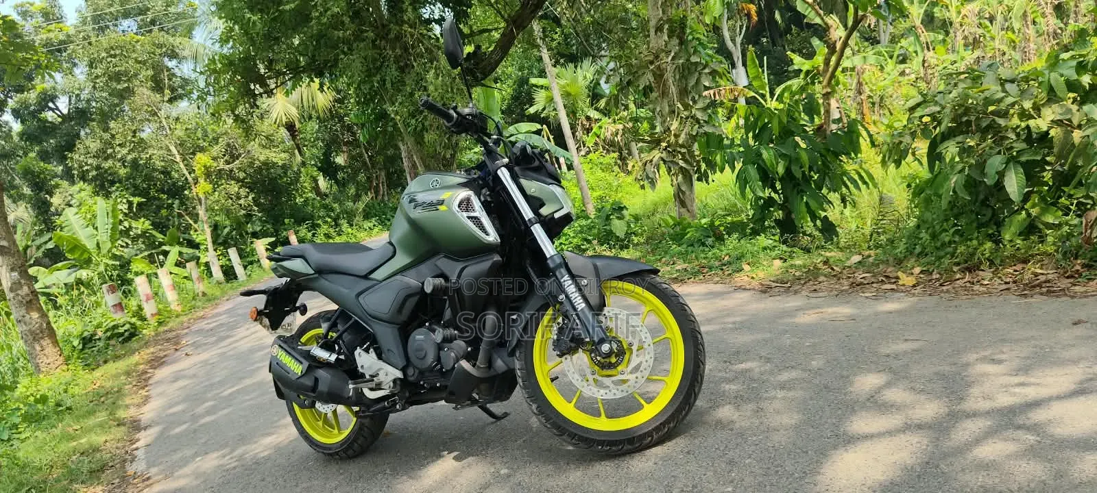 নতুন ইয়ামাহা এফজেডএস ভি৪ ২০২৫ সবুজ
