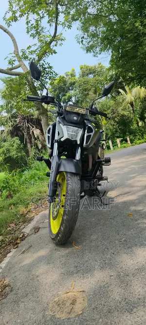নতুন ইয়ামাহা এফজেডএস ভি৪ ২০২৫ সবুজ