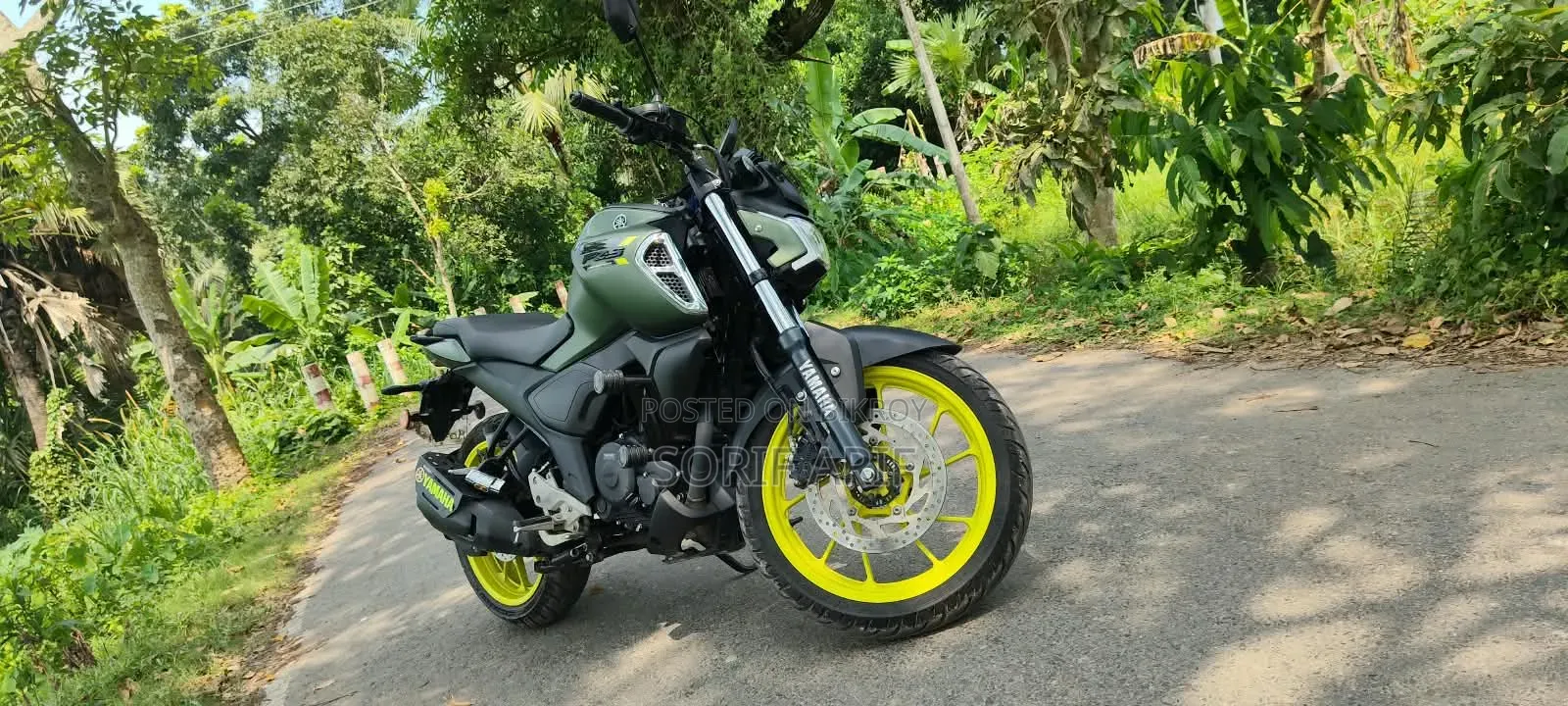 নতুন ইয়ামাহা এফজেডএস ভি৪ ২০২৫ সবুজ
