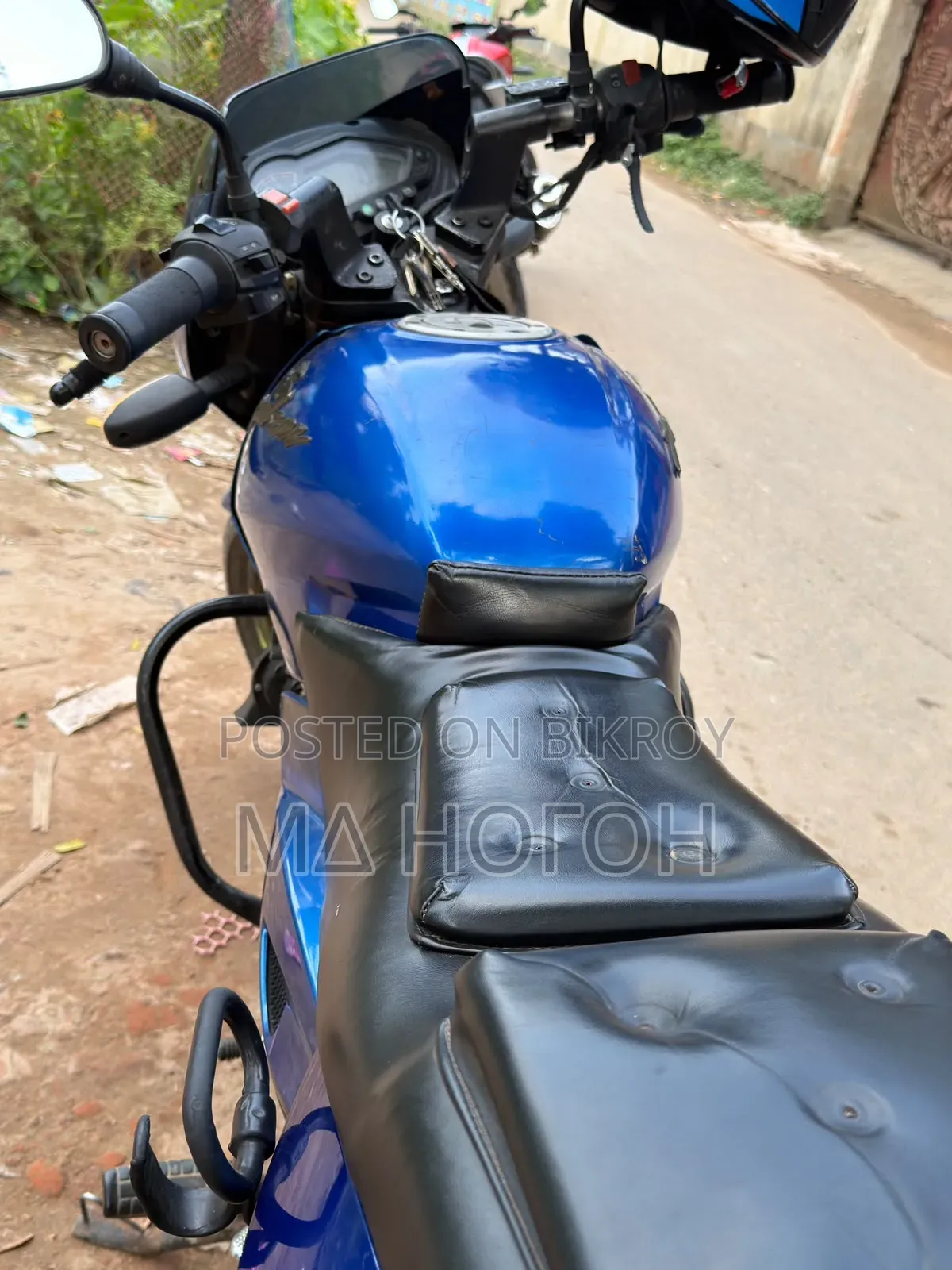 Pegasus Evo 150R 2014 Blue
