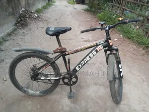 হিরো এক্সপ্রেস বাইসাইকেল