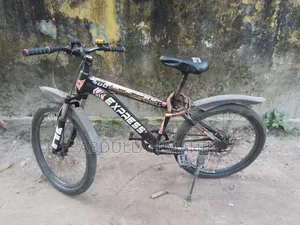 হিরো এক্সপ্রেস বাইসাইকেল