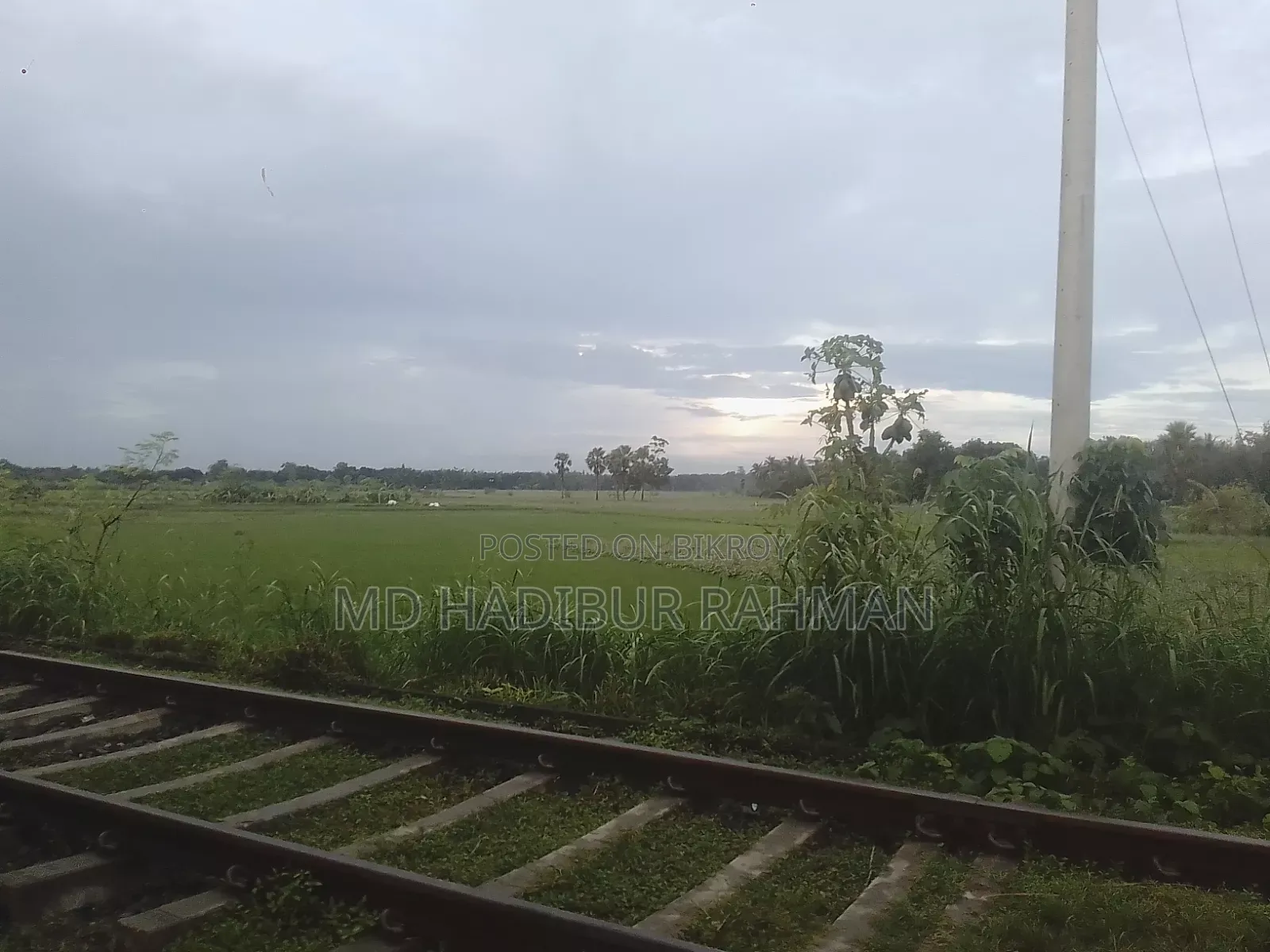 দায়াং ডিওয়াই১০০-এ ২০১২ ব্ল্যাক