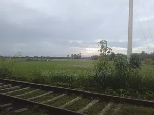 দায়াং ডিওয়াই১০০-এ ২০১২ ব্ল্যাক