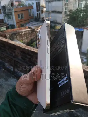 Apple iPhone 13 Pro Max 256 GB Gold