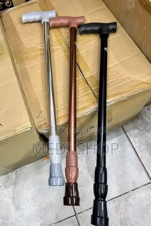 Hand Walking Stick
