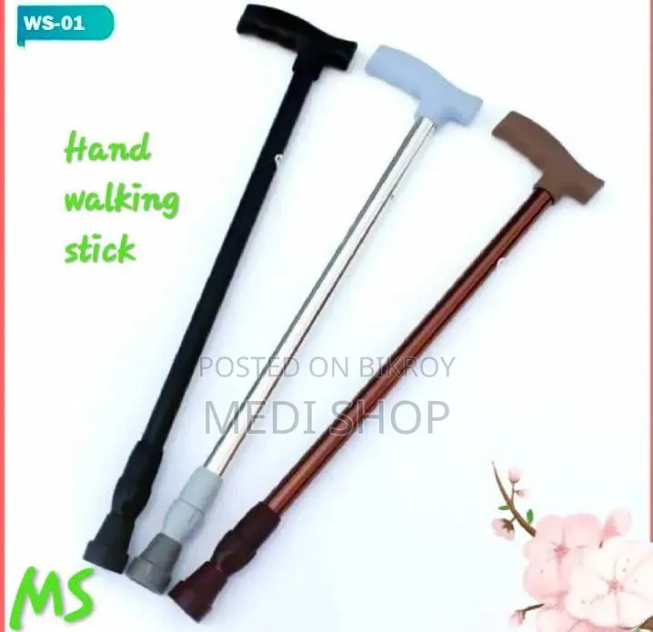 Hand Walking Stick